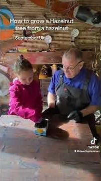 How to grow a Hazelnut tree from a hazelnut #plants #gardening #garden #plantsplantsplants