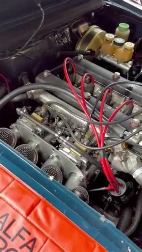Alfa Romeo Guilia 2.0 Nord engine with Dellorto carburetors- synchronizing🍀🔩#alfaromeo