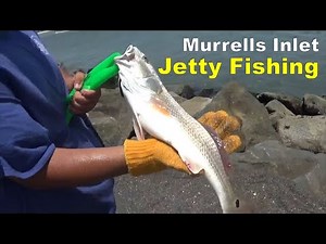 MURRELLS INLET JETTY FISHING (Near Myrtle Beach, South Carolina)