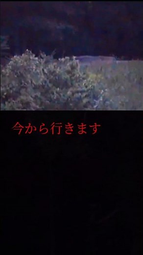 今から行きます #いつから #始まってるよ #行ってみよう #automobile #散歩 #恐怖 #来た時よりも美しく #心霊スポット #memes #事故
