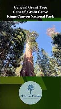General Grant Tree - General Grant Grove - Kings Canyon National Park