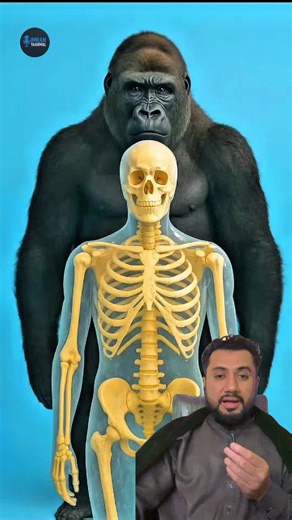 Animals You Should Never Hug: Important Insights