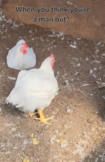 First memes ever haha🤟🤟 We all started somewhere, ya know?? 🤣🤣🤣 | Marc Lepage