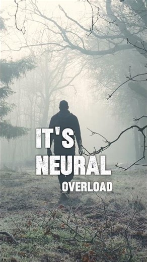 Brain Fried? Japanese Reset Technique Works #mentalfitness #focus #hack