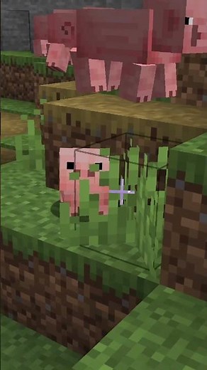 NEW BABY ANIMALS and CRAFTABLE NAME TAGS IN MINECRAFT #shorts