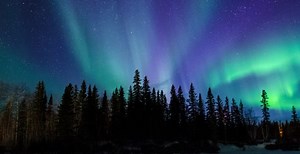 Witness the majestic Canadian northern lights via livestream (VIDEO) | Travel