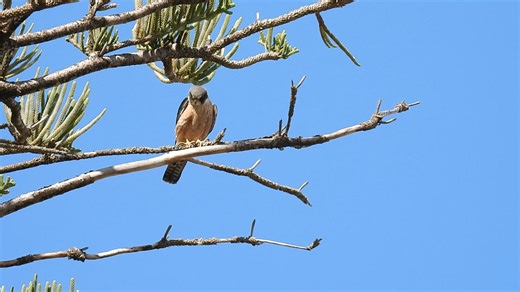 Peter Melling on Reels | Facebook