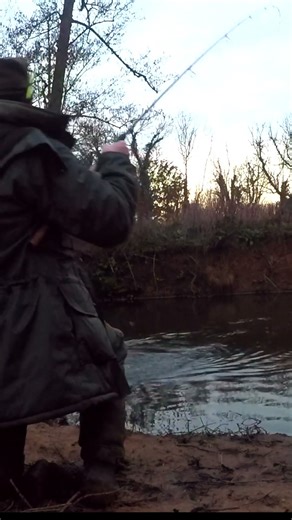 Winter Chub bites...proper fishing.