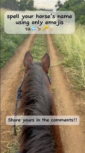 What’s your horses name in emojis? #horse #equestrian #trending #blowup #viralvideo