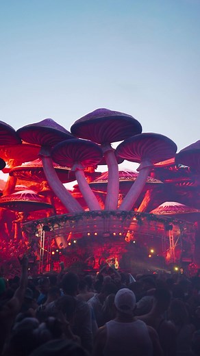 Voov Festival 2025: Bomb Trance Song & Psytrance Rave ft. Blazy & Aura Vortex