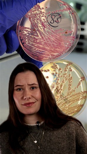 NRK Forklarer: Antibiotikaresistens