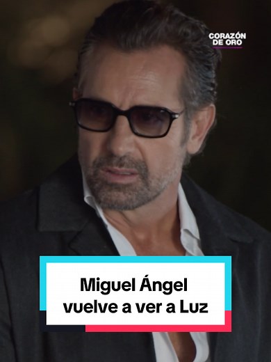Miguel Ángel vuelve a ver a su amada Luz — Corazón de Oro capítulo 61