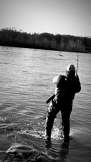 It’s really a shame we are having to drive hours out of state to catch the fish we love, but I am happy to do it. Stripers are just a different kind of fish. They make us lose sleep, drive for hours and lose complete focus of everything else just for a taste of that bite. There aren’t many fish like it and that’s probably a good thing 😂. This girl wanted a simple @daiwausa SP minnow. I remove the rear hook and upgrade the front to handle larger fish. When the shot zooms in you can get a look at