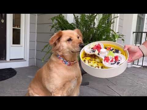 Puzzle Feeder Slow Feeder Review 2025: Is it the Best Interactive Dog Feeder?