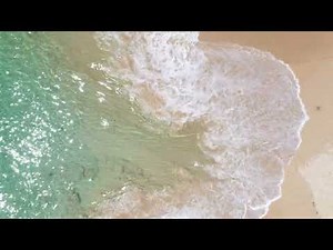 A Meditation on the Healing Stream of Divine Life