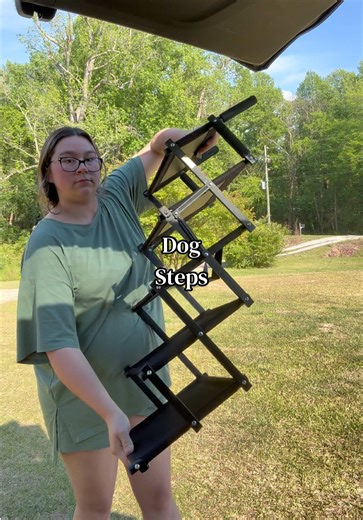 Dog Stairs for Car Entry & Comfort