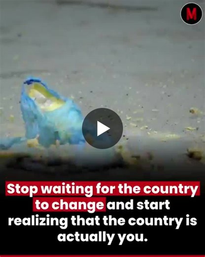 Do we pay taxes so that we can throw garbage on roads and other public places? Shockingly, many people think like that. Someone posted this touching video on X, and the first comment was Why pay… | Amrit Hallan