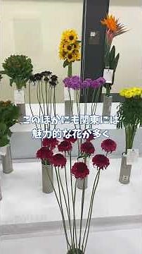 花ある暮らしへ！関東の花と園芸の魅力