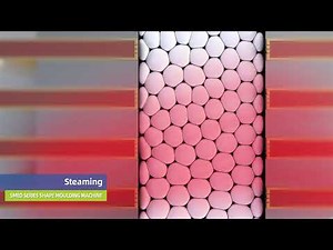 QDCS Series EPS shape moulding machine