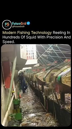 Modern Fishing Tech | Catching Hundreds with Precision & Speed