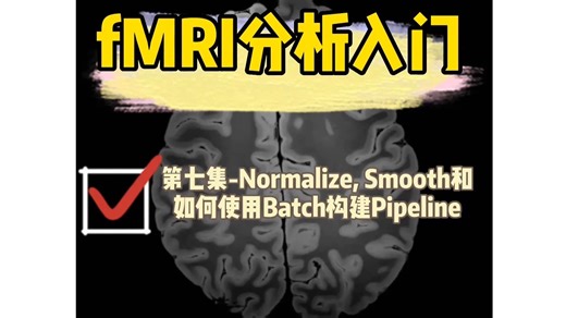 fMRI分析入门-7: Normalize, Smooth和如何使用Batch构建Pipeline