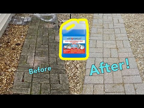 Wet & Forget Outdoor Cleaner RESULTS (No Scrubbing)