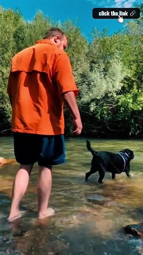 You Won’t Believe These Stunning Airplane Views & Sunset Scenes #TravelVibes #ScenicFlight