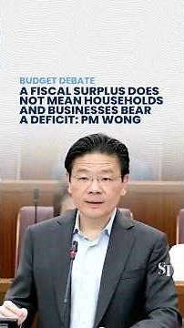 A fiscal surplus does not mean households and businesses bear a deficit: PM Wong