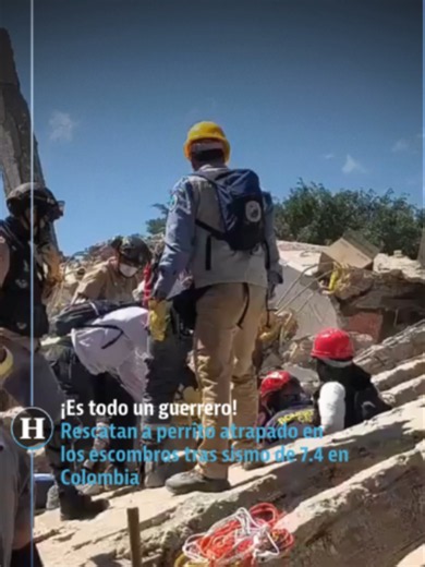 🐾 ¡Un milagro entre los escombros! Rescatan a un