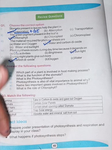 9.8K views · 323 reactions | Science Class 6 | #MCQs Solution video #naeemsvirtualacademy | Naeemullah Mahar | Facebook
