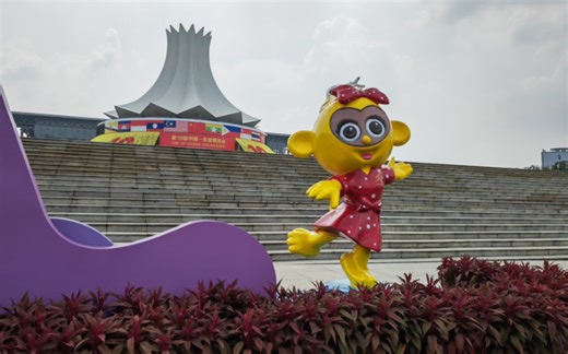 【4k】一一南宁“朱槿花”美丽绽放