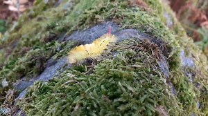 1.7K views · 47 reactions | Back in early October we spotted this...