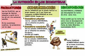 La diferencia entre un ecosistema natural y artificial - 2025 | Es.EcoBuilderz.com