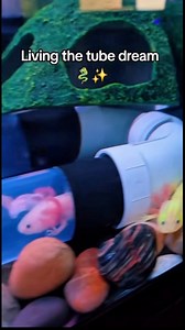 2.6M views · 53K reactions | OMG I need to do this lol. I dont know...