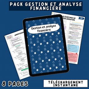Accounting Worksheet Pack – Financial Management and Analysis – Printable PDF - Etsy Canada