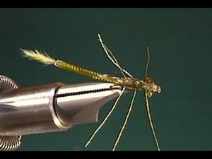Ultra Damsel fly tying video by Shane Stalcup