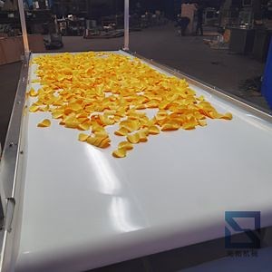 [Hot Item] Versatile Modular Conveyor Belt Solutions for Streamlined Operations