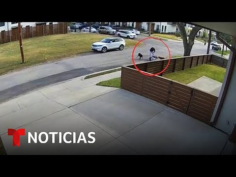 Captan el ataque de cuatro perros a otra mascota | Noticias Telemundo