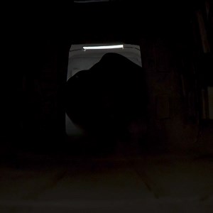 Save the galaxy…or don’t? Rebuild the galaxy like never before with LEGO® Star Wars™ | Star Wars