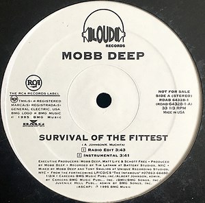 Mobb Deep - Survival Of The Fittest