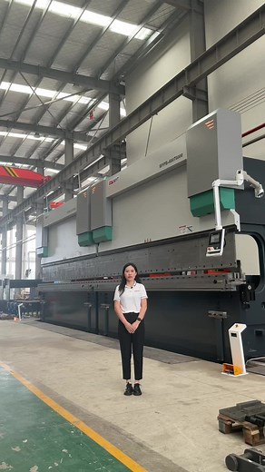 MYT 2*WE67K-600T6000 Tandem Press Brake Overview