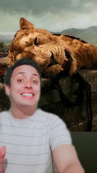 ¿Conoces las crónicas de Narnia? #storytime #story #narnia #culturage