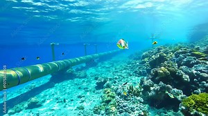 An underwater transport pipeline in the ocean, carrying resources like gas and internet cables, amidst vibrant aquatic life