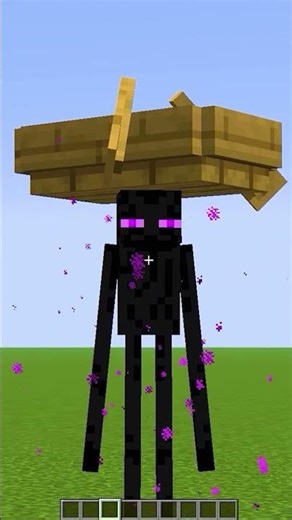 100 Insane Minecraft Experiments