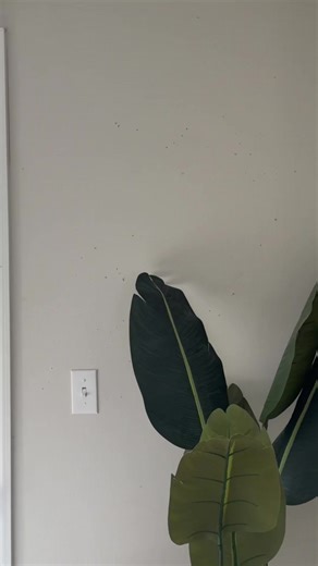 Fixing My Ghetto Apartment: DIY Home Makeover