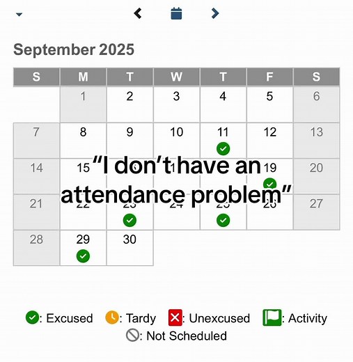 yes the check marks AND the x’s are absences #fyp #67 #funny #relatable #school