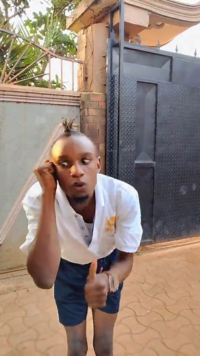 Watch the Amazing Talented Mosquito Dance!