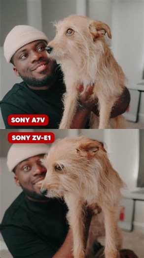 Sony A7V vs ZV-E1