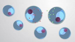 Video: What is Cell Signaling?