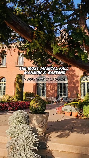 41K views · 319 reactions | ✨️ Filoli Historic House & Gardens is a 1917 Georgian Revival estate with 16 acres of formal gardens, a historic orchard, and scenic trails across 654 acres. Visitors can enjoy seasonal blooms, reflecting pools, and peaceful woodland paths. It is located at 86 Cañada Road, Woodside, California, about 30 miles south of San Francisco. #filoli #filoligardens #woodside #bayarea #bayareagarden #pumpkinpatch #fallvibes | California Vlog | Facebook
